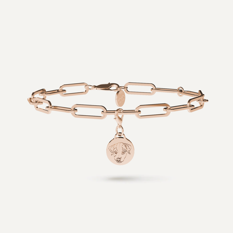 Stainless Steel Charming Bracelet (1x Charm Included)