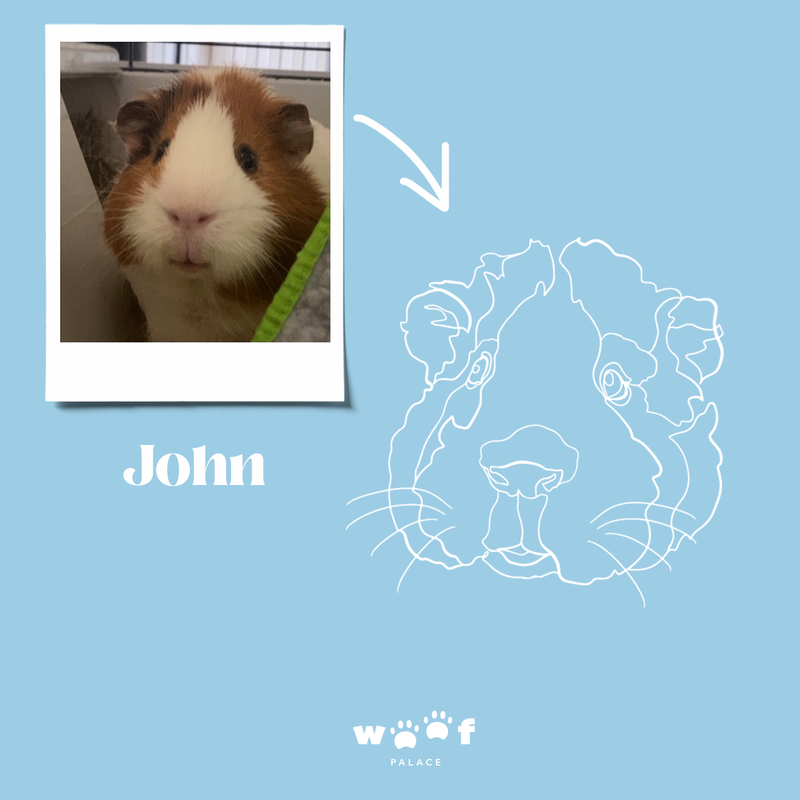 Digital Artfile - your unique piece of art