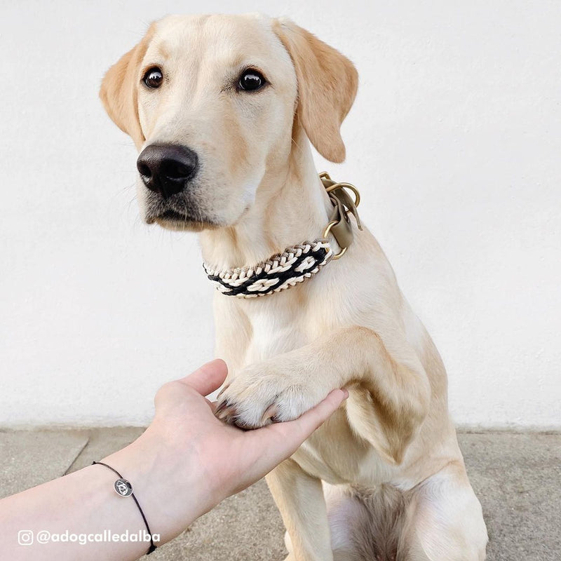 Custom Friendship Bracelet