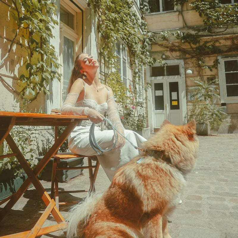 Ace Blue Royal Leash