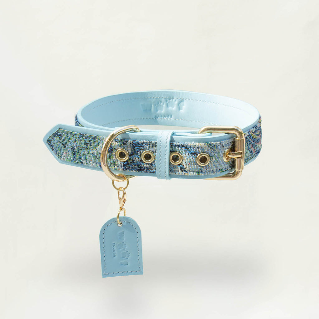 Ace Blue Royal Collar Set (Collar + Leash)