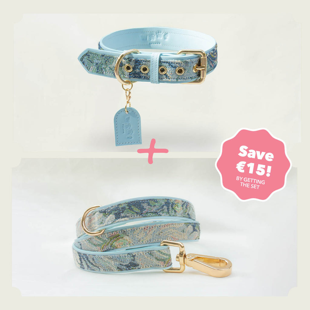 Ace Blue Royal Collar Set (Collar + Leash)