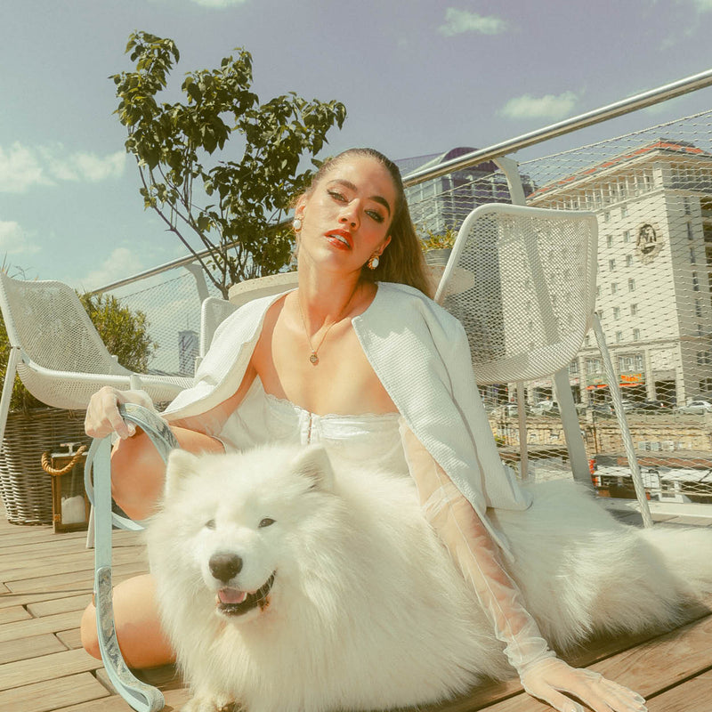 Ace Blue Royal Leash