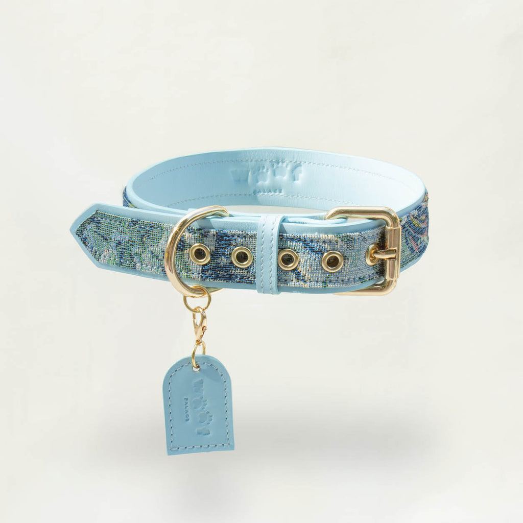 Ace Blau Royal Halsband